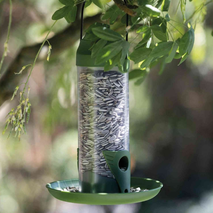 Wild Bird Seed Feeder With Plate 22cm Plastic - Image 2
